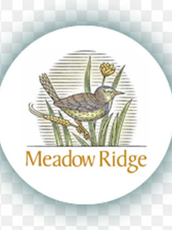 Redding's Meadow Ridge Changes Designation To Life Plan Community