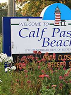Learn Life-Saving Measures Calf Pasture Beach Concerts In Norwalk