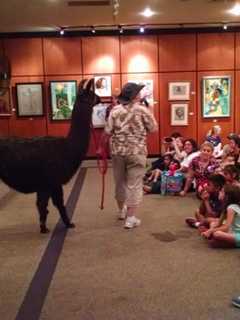 Jedi, Animals and Music Highlight Children’s Programs at Scarsdale Library