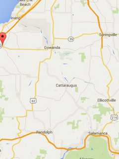 Alert Issued For Missing Upstate Woman