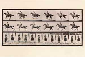 Greenwich's Bruce Museum Displays Stop-Motion Photos From 1887