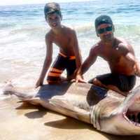 <p>Emerson&#x27;s Gianni Mandile, 13, and his father, Joseph, reeled in a 200-pound shark in Long Beach Island Sunday.</p>