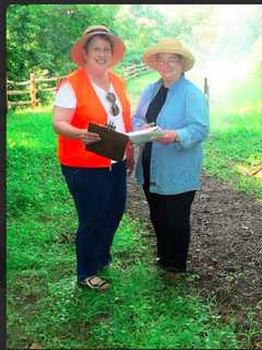 Norwalk Land Trust Acquires Site For New Meadow Space