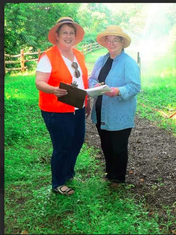 Norwalk Land Trust Acquires Site For New Meadow Space