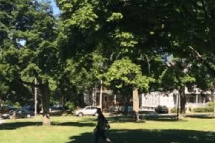 Five Injured After Apparent Lightning Strike In Poughkeepsie Park