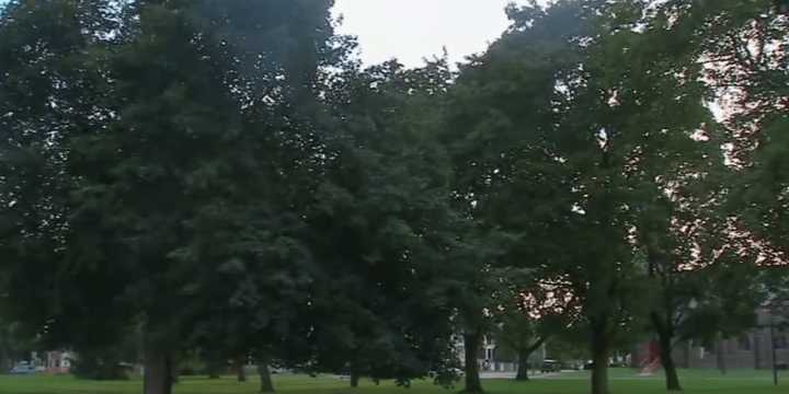 The area of Mansion Square Park in Poughkeepsie that was hit Aug. 12 by a lightning strike that killed two men and injured three other people.