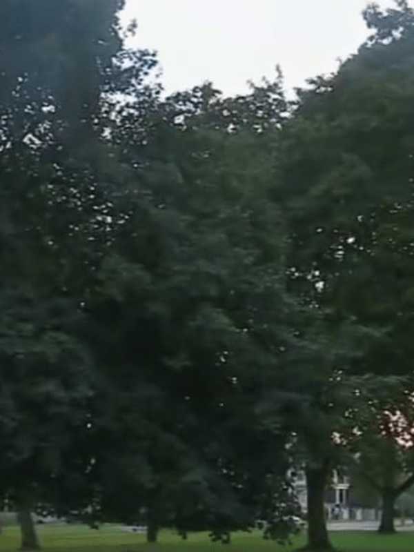 Second Poughkeepsie Lightning-Strike Victim Dies