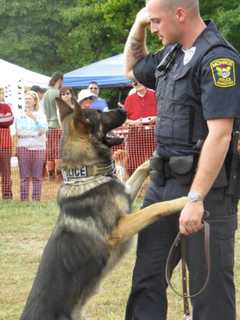 Kennel Club Steps Up To Help Stratford Police Get New K-9 Officer