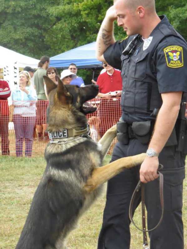 Kennel Club Steps Up To Help Stratford Police Get New K-9 Officer
