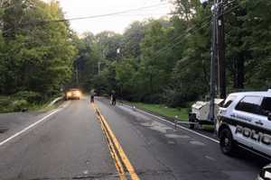 Ramapo Police Deny Claim They Protected Officer In Fatal Crash