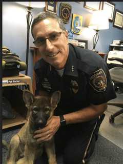 Redding Police Chief Placed On Leave After Lawsuit Is Filed Over Suicide