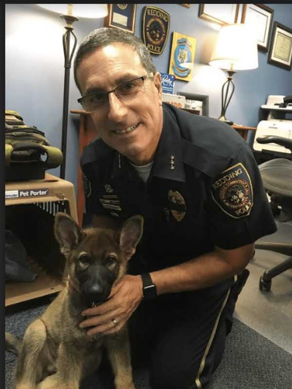 Redding Police Chief Placed On Leave After Lawsuit Is Filed Over Suicide