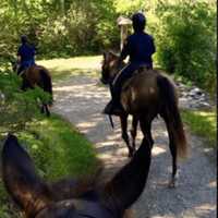 <p>Rider&#x27;s point of view while out on a trail</p>