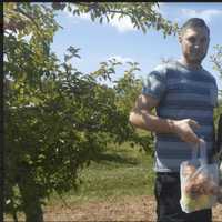 <p>Richard Fine and Heather Boertlein of Commack, N.Y. visit Blue Jay Orchards for the first time on Saturday.</p>