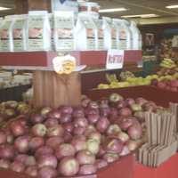 <p>Apples for sale at Blue Jay Orchards</p>