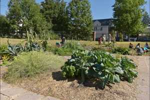 WestConn Stages Permaculture Garden ‘Community Day’ In Danbury