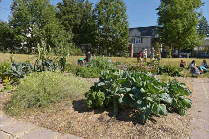 WestConn Stages Permaculture Garden ‘Community Day’ In Danbury