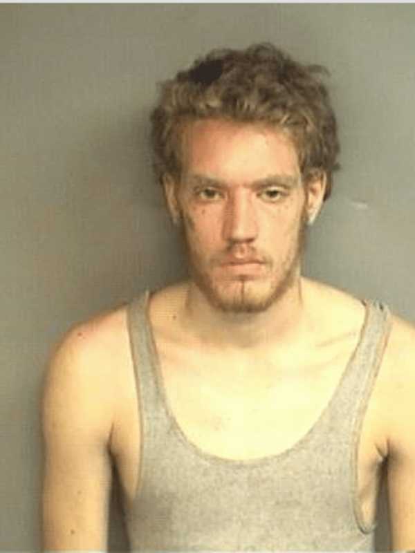 Stamford Police: Hitchhiker With Pit Bull Angry He Can't Get Ride To Maine
