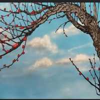 <p>Accessible Art exhibitions run Nov. 14.</p>