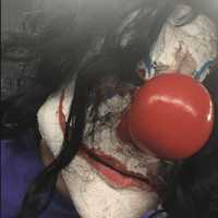 <p>An actor who volunteers as a clown at Fright Haven in Stratford.</p>