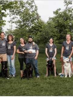 Dog Lovers Stepping Out For Paws For The Cause In Ridgefield