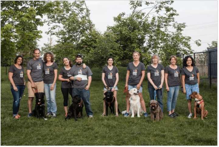 The festival is for dogs, their owners and everyone of all ages.