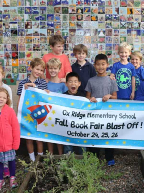 Pick A Book At Darien's Ox Ridge Elementary School's Fall Fair