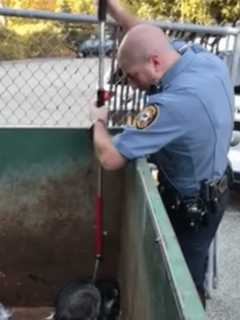 Video: Ramapo Police Officer Rescues Trapped Raccoon