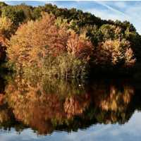 <p>Twin Brooks Park in Trumbull on a recent fall evening.</p>