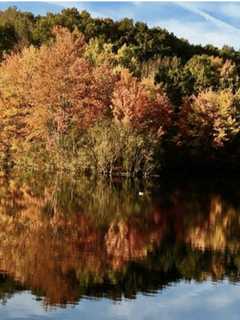 Trumbull's Twin Brooks Park Reflects The Beauty Of Fall In Connecticut