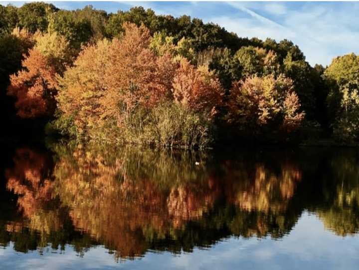 Twin Brooks Park in Trumbull on a recent fall evening.