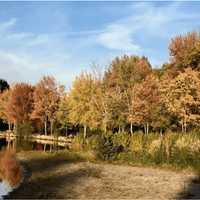 <p>Fall colors are seen on the leaves at Twin Brooks Park in Trumbull.</p>