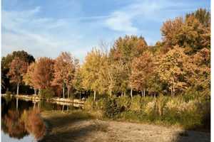 Time To Start Raking, Westport Leaf Collection To Begin In November
