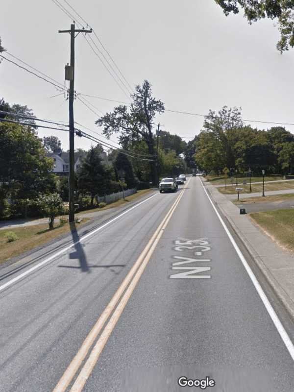 Yorktown Man's Unlicensed Dogs Jump On Children, Police Say