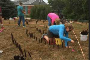 Walk The Labyrinth At Norwalk Community College To Discover Love