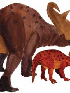 Bruce Museum In Greenwich Invites Kids To Don Pajamas, Attend Fundraiser