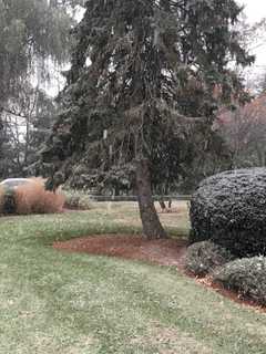 Light Snow Could Mix With Rain Today Ahead Of Cool Week In Shelton