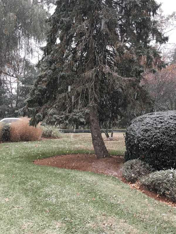 Light Snow Could Mix With Rain Today Ahead Of Cool Week In Shelton