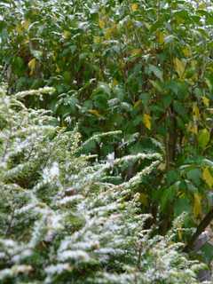 Snow, Falling Temps In The Weekend Forecast For Bridgeport