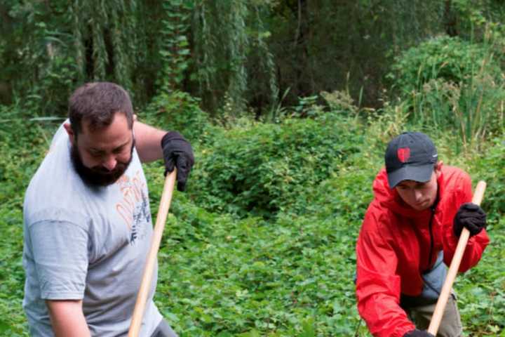 Groups Join Forces To Restore Nature Trail in Yonkers