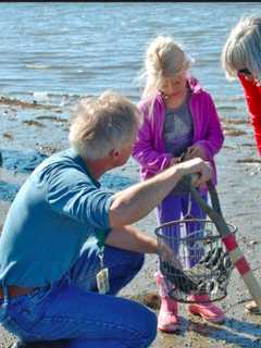 How Well Do You Know Shellfish? Find Out In Greenwich Class