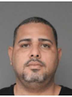 Police Seize 300 Marijuana Plants Worth $1.8M In Greenburgh