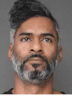 Police Seize 300 Marijuana Plants Worth $1.8M In Greenburgh