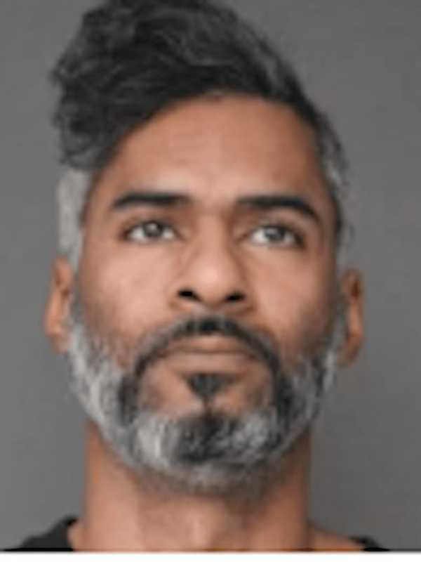 Police Seize 300 Marijuana Plants Worth $1.8M In Greenburgh