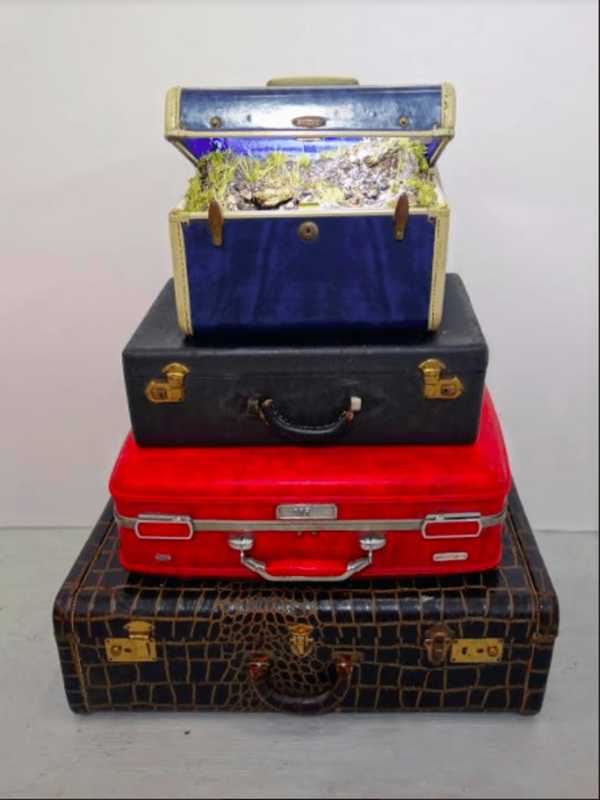 Fine Artists Speak At Bruce Museum's 'Small Scales' Exhibit In Greenwich