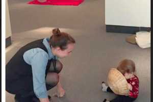 Toddlers Can Explore At Bruce Museum's New Program In Greenwich
