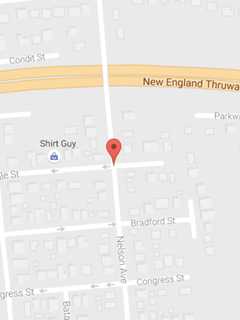 Group Seeks Owner Of Cat Killed In Harrison Accident Near I-95