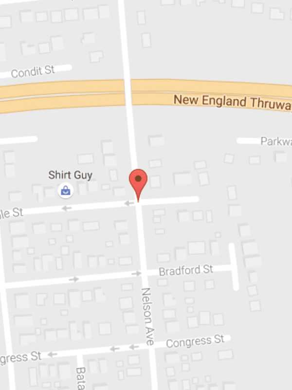 Group Seeks Owner Of Cat Killed In Harrison Accident Near I-95