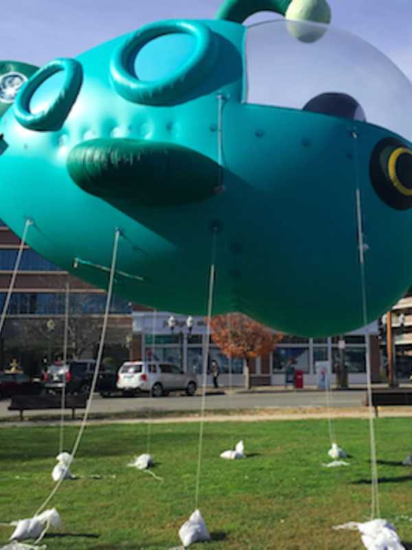 Stamford Unveils New Octonauts Balloon For UBS Parade Spectacular