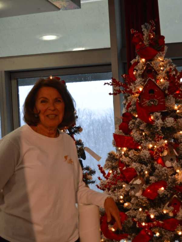 Danbury's Festival Of Trees Celebrates Holidays & Lives Of Cancer Patients